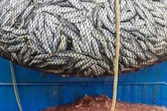 Σήμα κινδύνου για το μέλλον της αλιείας