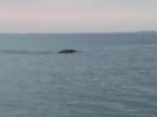 Φωτογραφία για Σάλος με βίντεο που καταγράφει τέρας τύπου... Λοχ Nες σε θάλασσα της Ιρλανδίας