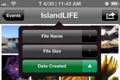 Photo Organizer Pro: Cydia tweak new