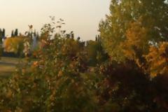 Grabby :Cydia tweak new