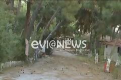 Ερέτρια: Είδαν τον φίλο τους πεσμένο στο έδαφος και να πεθαίνει από τους πόνους!Φωτογραφία...