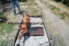 Τον έψησαν και φέτος τον οβελία οι Τρικαλινοί
