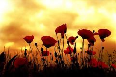 Το χαρμόσυνο άγγελμα και το ανθρώπινο πρόσωπο