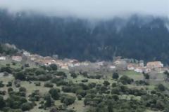 Στοιχεία φωτιά για την αναδάσωση - σκάνδαλο στην ορεινή Hλεία