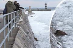 Διάσωση σκύλου καρέ καρέ από παγωμένα νερά