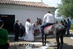 Ηλεία: Με τα άλογα στην Εκκλησία τίμησαν τον Αγιο Γεώργιο στη Φιγαλεία!