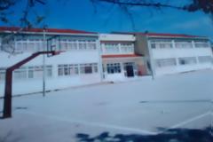 Πάτρα: Εξωσχολικοί καταστρέφουν το Δημοτικό σχολείο Δεμενίκων