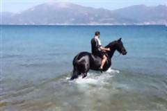 Πάτρα: Ενα άλογο και ο αναβάτης του κάνουν ιππασία στην... θάλασσα! [video]