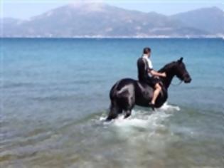 Φωτογραφία για Πάτρα: Ενα άλογο και ο αναβάτης του κάνουν ιππασία στην... θάλασσα! [video]