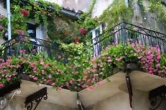 Green Party 2013! Στείλτε φωτογραφία του 