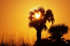 Αναμένεται νέο 