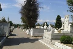 Δήμος Τρικκαίων: Ξεθάψτε τους νεκρούς!