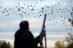 Hλεία: Αποχαιρετισμός σε ένα καλό, πραγματικό φίλο!