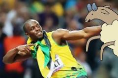 Η «μετενσάρκωση» του Γιουσέιν Μπόλντ! [video]