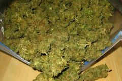 Ρόδος: Έκρυβε ναρκωτικά στην τσάντα του