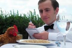 Πολυτελείς διακοπές για κότες!