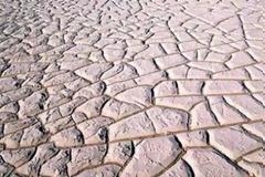 Η ανομβρία στέγνωσε την κρητική ύπαιθρο