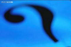 Οι «ξεχασμένες» κλοπές της Λέσβου...