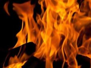 Φωτογραφία για Φωτιά σε φάρμα αγελάδων στα Λύμπια έκαψε 150 μπάλες σανού