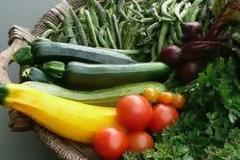 Λάδι και κηπευτικά στο αγροτικό χρηματιστήριο