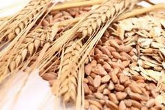 Ωφέλιμη η κατανάλωση δημητριακών ολικής άλεσης