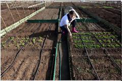 ΠΑΣΕΓΕΣ: Δίνουν σε υπό κατάργηση οργανισμό πρόγραμμα κατάρτισης αγροτών