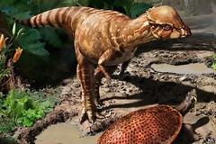 Ανακαλύφθηκε ο αρχαιότερος παχυκεφαλόσαυρος της Β. Αμερικής