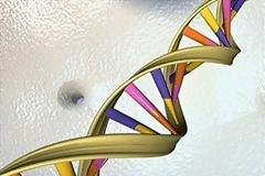 Τεστ πατρότητας με χαμηλό κόστος από το ΑΠΘ