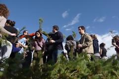 Δεντροφύτευση στο κέντρο της Θεσσαλονίκης