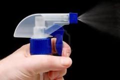 Ποια είναι η μυρωδιά που δεν αντέχουν τα μυρμήγκια και οι κατσαρίδες;