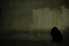 Αταλάντη: Τα ουρλιαχτά της 30χρονης καλλονής τους σήκωσαν από τα κρεβάτια τους!