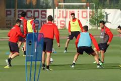 ΜΕ ΜΙΤΣΕΛ ΚΑΙ... ΒΑΡΟΣ ΣΤΗΝ ΣΤΡΑΤΗΓΙΚΗ Η ΣΗΜΕΡΙΝΗ ΠΡΟΠΟΝΗΣΗ ΤΩΝ ΕΡΥΘΡΟΛΕΥΚΩΝ