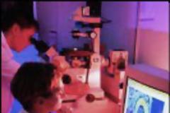 ΗΠΑ: Πρώτη μείωση δαπανών για φάρμακα σε 55 έτη