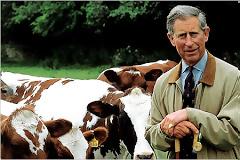 Η οικονομική κρίση χτύπησε και τον Κάρολο της Aγγλίας!