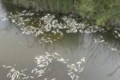 ΣΟΚ: Χάος στην Καλλονή Λέσβου- Τεράστια οικολογική καταστροφή