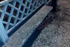 Πρέβεζα: Απίστευτο! Η επέλαση των ... σκουληκιών - Γέμισε ο δρόμος στον Παντοκράτορα