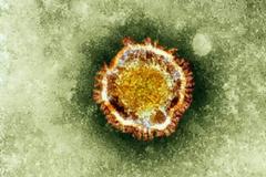 Συναγερμός στην Ευρώπη για τον κορονοϊό