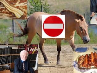 Φωτογραφία για Ελλαδα: Βόμβα Κατσαρού - Διατροφικό σκάνδαλο μεγατόνων: Ακόμα καταναλώνουμε αλογίσιο κρέας !