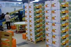 Υποχώρησαν οι εξαγωγές