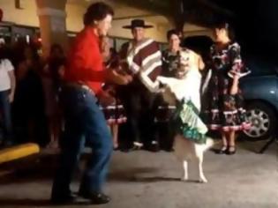 Φωτογραφία για Χορεύοντας με τον πιο έξυπνο σκύλο