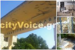 ΒΙΝΤΕΟ-Σκουπίδια και...πρόβατα στα στρατόπεδα της Πρέβεζας