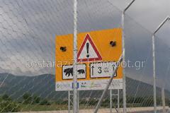 Τοποθέτηση φράκτη για την προστασία της αρκούδας στην Εγνατία Οδό