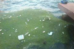 Φωτογραφίες αναγνώστη πριν λίγο, από την παραλία Θεσσαλονίκης