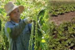 Επιστροφή στη... γη εν μέσω κρίσης...!!!