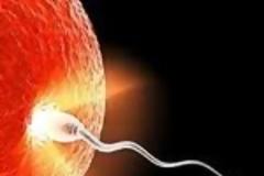 Η Ισπανία της κρίσης, πόλος έλξης για όσες επιδιώκουν τεχνητή γονιμοποίηση