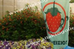 Πραγματοποιήθηκε με επιτυχία η 6η Γιορτή Φράουλας στο Παραδείσι Ρόδου