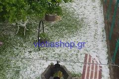 Σοβαρές ζημιές απο σφοδρή χαλαζόπτωση σε κεντρική και ανατολική Βοιωτία