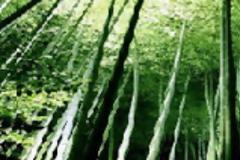 Η Πράσινη Πληροφορική στο EKT