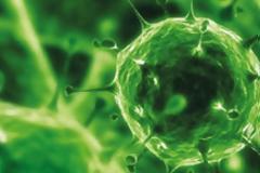 Mε στενή επαφή μπορεί να μεταδοθεί ο νέος θανατηφόρος κορονοϊός