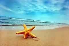 Τραγικές ελλείψεις στα πολυσύχναστα θέρετρα λόγω φτώχειας και δημοτικών… χρεών